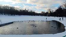 Катинсад