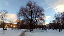 Катинсад