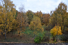 Спартакиада19