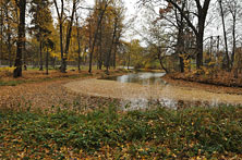 Спартакиада19