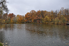 Спартакиада19