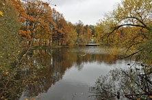 Спартакиада19