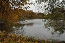 Спартакиада19
