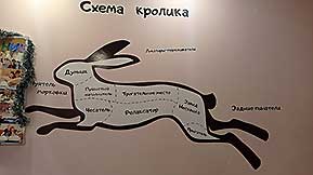 Зайкафе