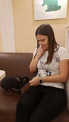 Зайкафе
