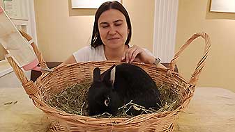 Кролики в антикафе. Бетмен Зайкафе
