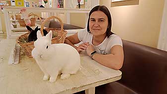 Кролики в антикафе. Бетмен и Рафаэль Зайкафе