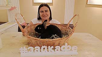 Кролики в антикафе. Бетмен и Рафаэль Зайкафе