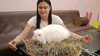 Кролики в антикафе. Зефир Зайкафе