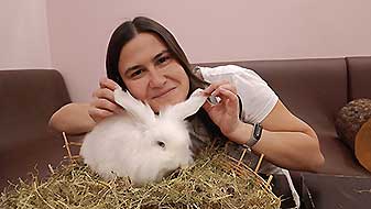 Кролики в антикафе. Зефир Зайкафе