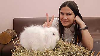 Кролики в антикафе. Зефир Зайкафе