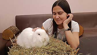 Кролики в антикафе. Зефир Зайкафе
