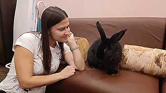 Кролики в антикафе. Сириус Зайкафе