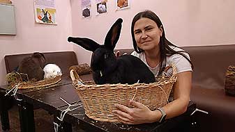 Кролики в антикафе. Сириус Зайкафе