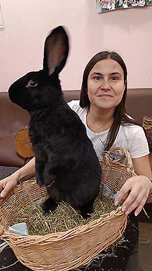Зайкафе