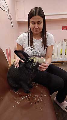 Зайкафе