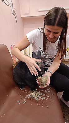 Зайкафе