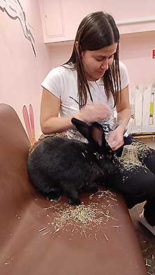 Зайкафе