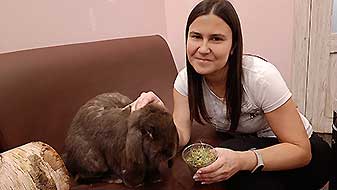Кролики в антикафе. Трюфель Зайкафе