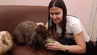 Кролики в антикафе. Трюфель Зайкафе